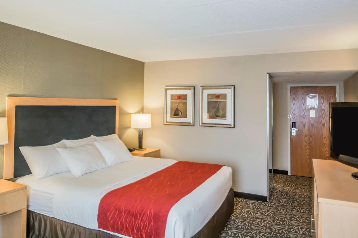 Premium bedding, desk, laptop workspace, blackout drapes