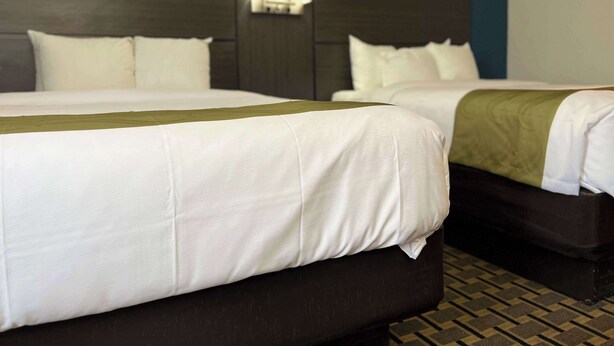 Une chambre d’hôtel avec deux lits, chacun doté de draps blancs et d’une tête de lit sombre.