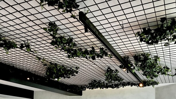 A restaurant interior with a grid ceiling, hanging plants, and a 'Baile' sign on the wall. - ibis Nice Aéroport Promenade des Anglais (Nice)