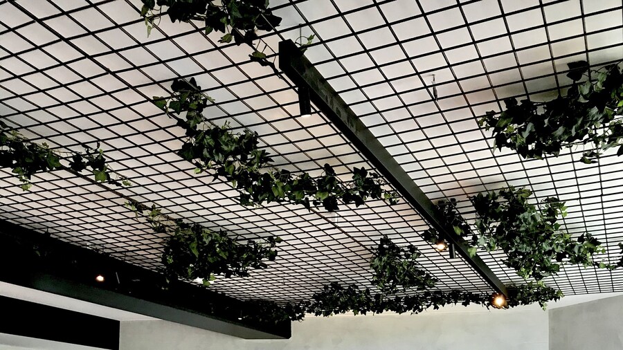 ibis Nice Aéroport Promenade des Anglais