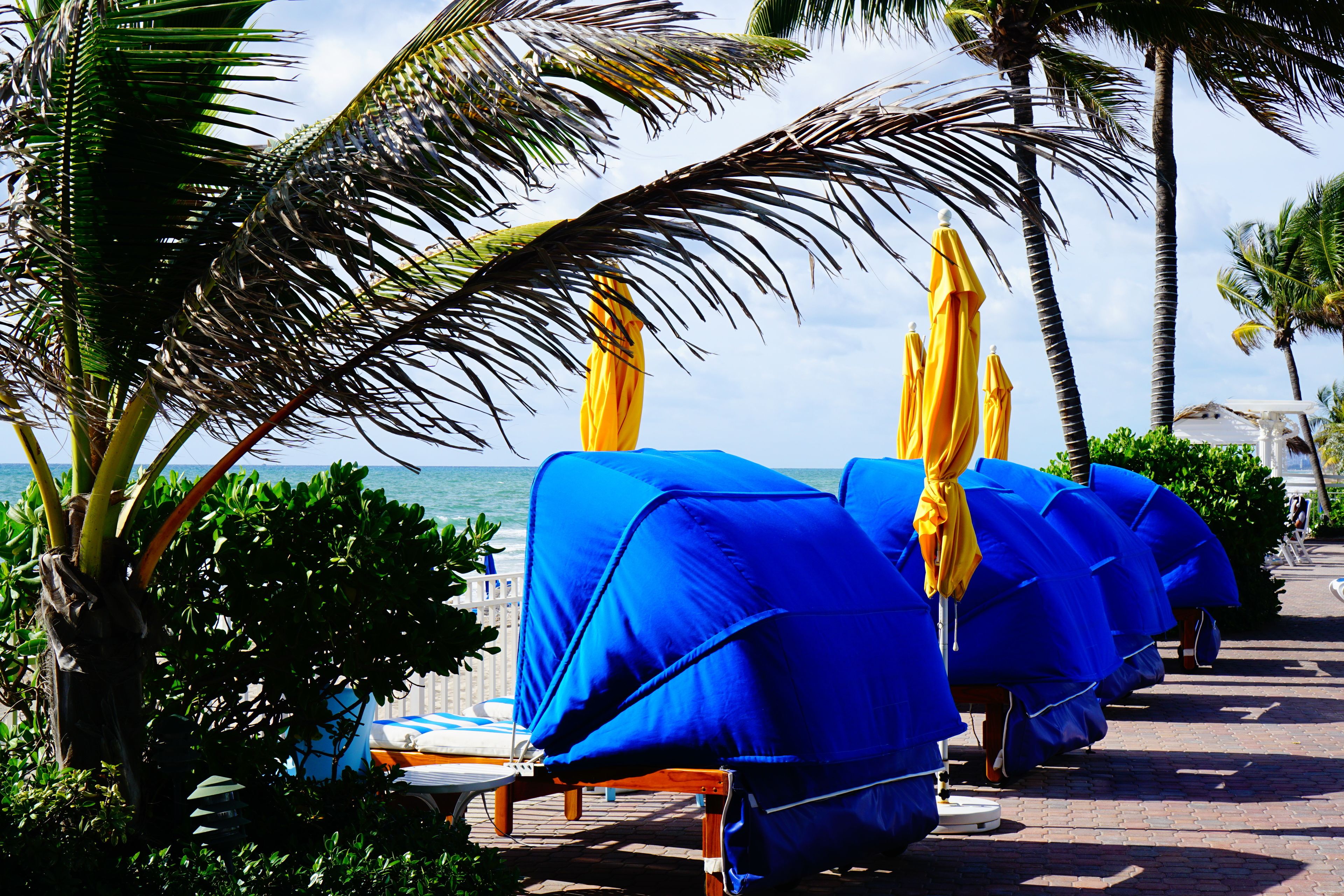 在海滩、小屋（收费）、沙滩椅、海滩遮阳伞