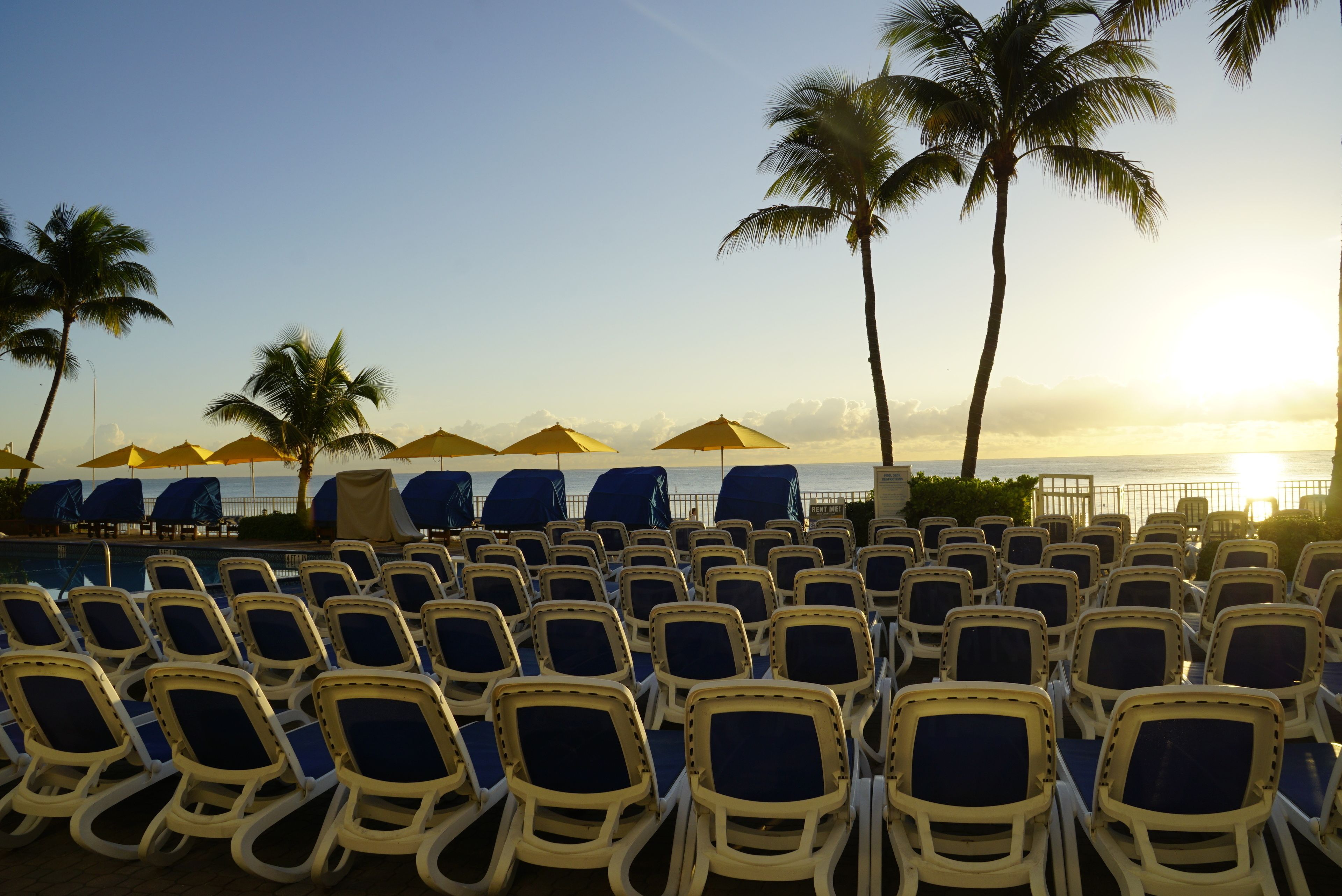 A beachside seating area with rows of lounge chairs and umbrellas, palm trees, and a view of the ocean at sunset.
