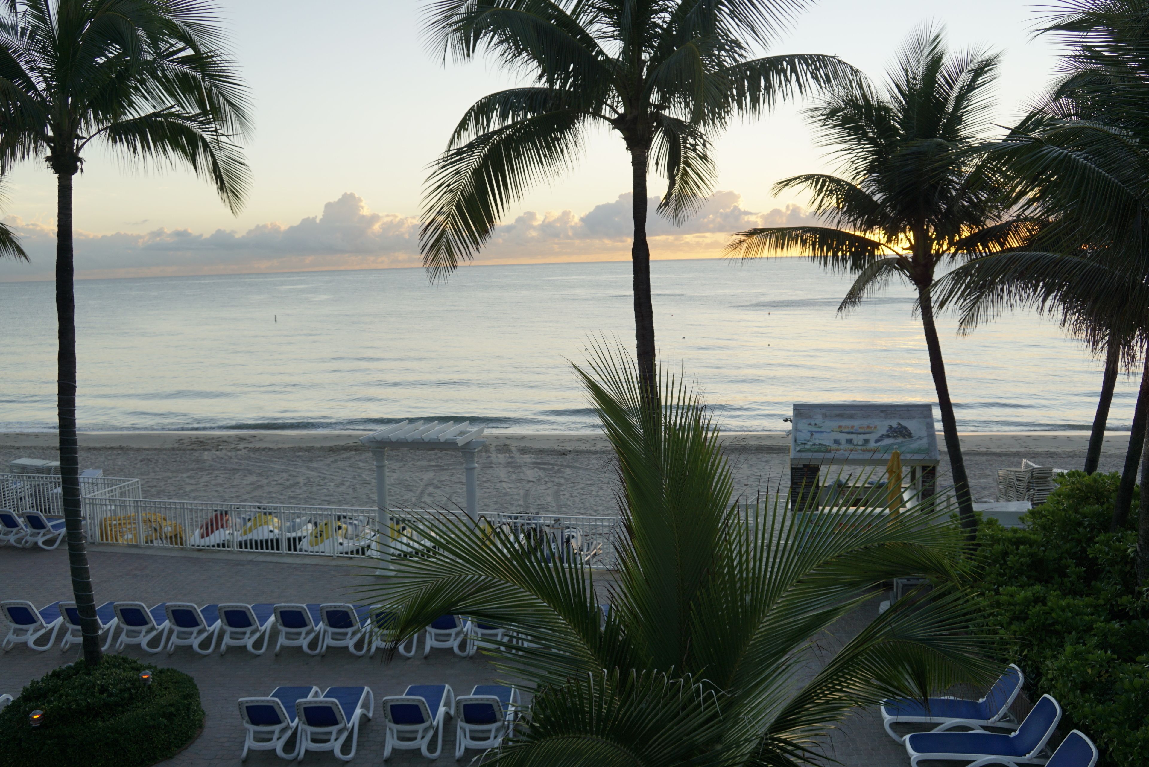 A beach view with palm trees, lounge chairs, and a fence.
