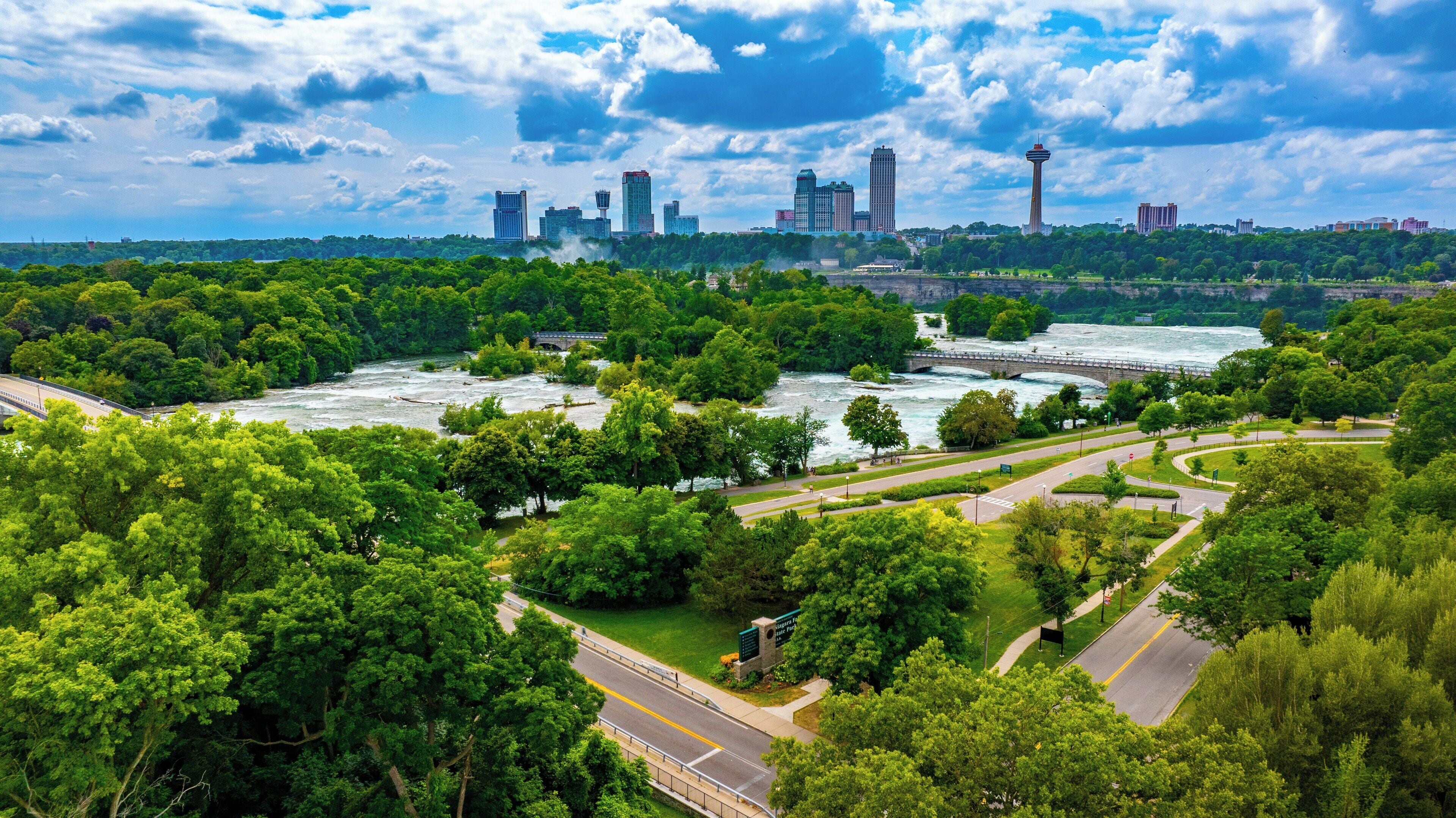 Um rio com uma ponte, cercado por vegetação exuberante e um horizonte urbano ao fundo.