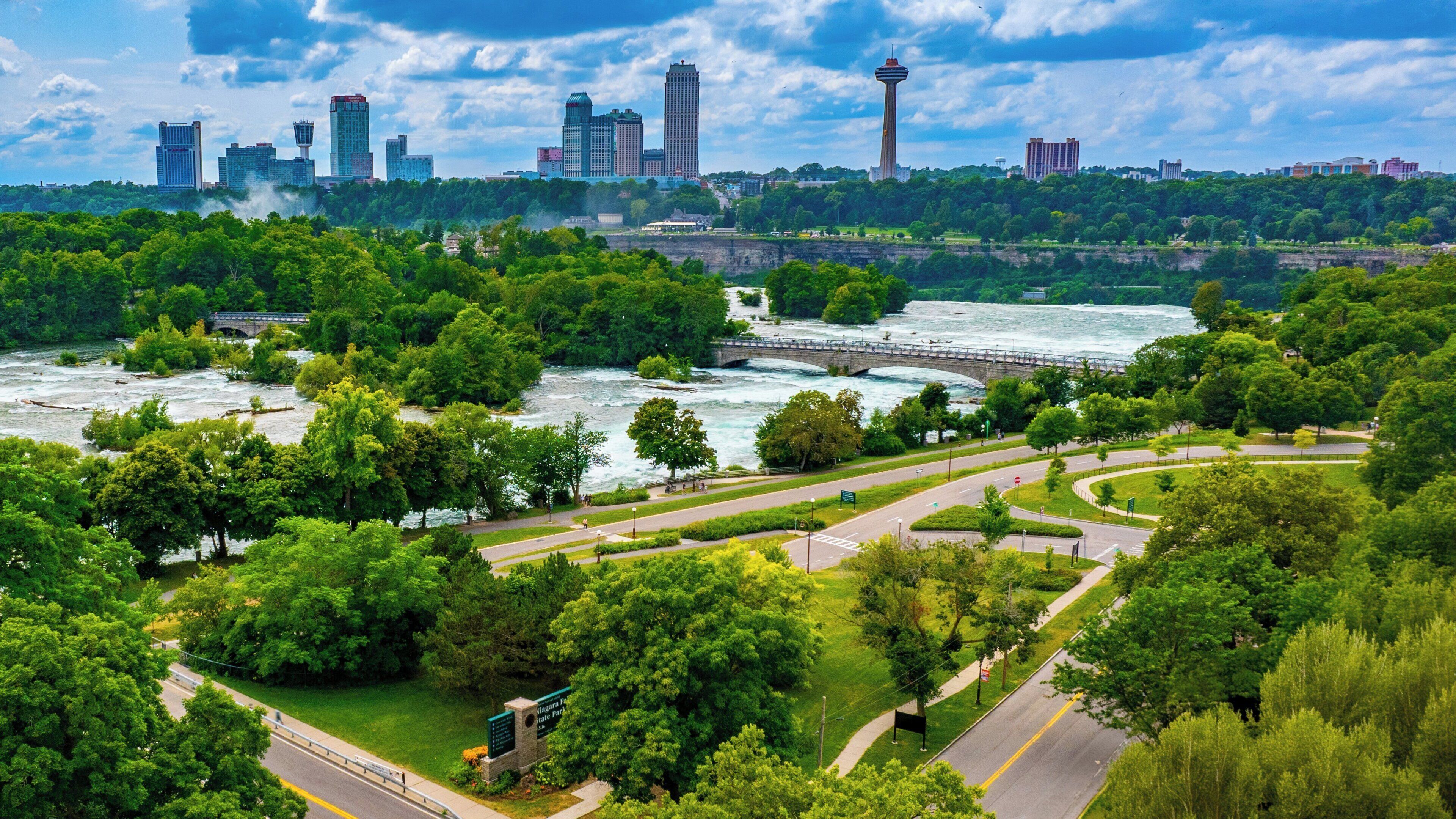 A park with a river, a bridge, and a city skyline in the background.