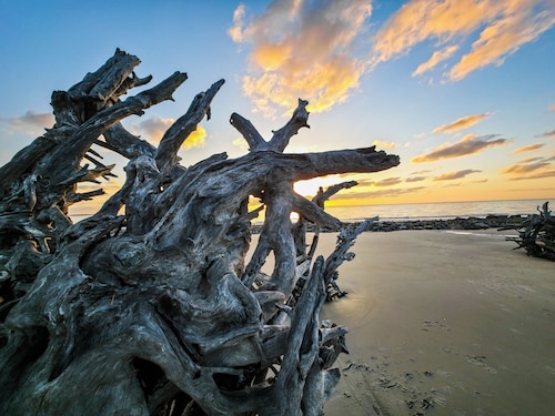 Hampton Inn & Suites Jekyll Island
