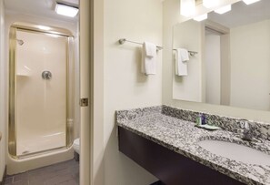 A bathroom with a shower, a sink with a granite countertop, and a mirror.