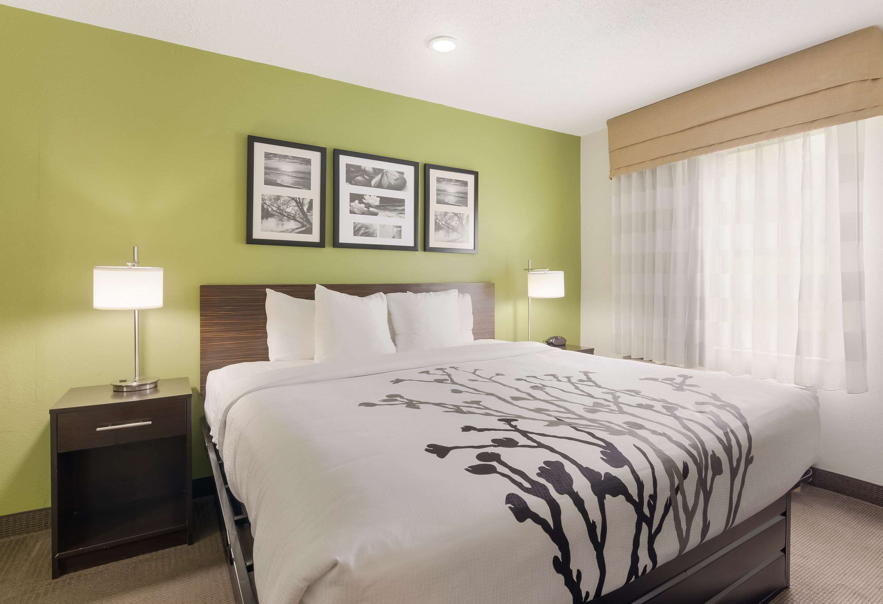 Habitación de hotel con cama, dos lámparas de noche, mesita de noche y ventana con cortinas translúcidas.