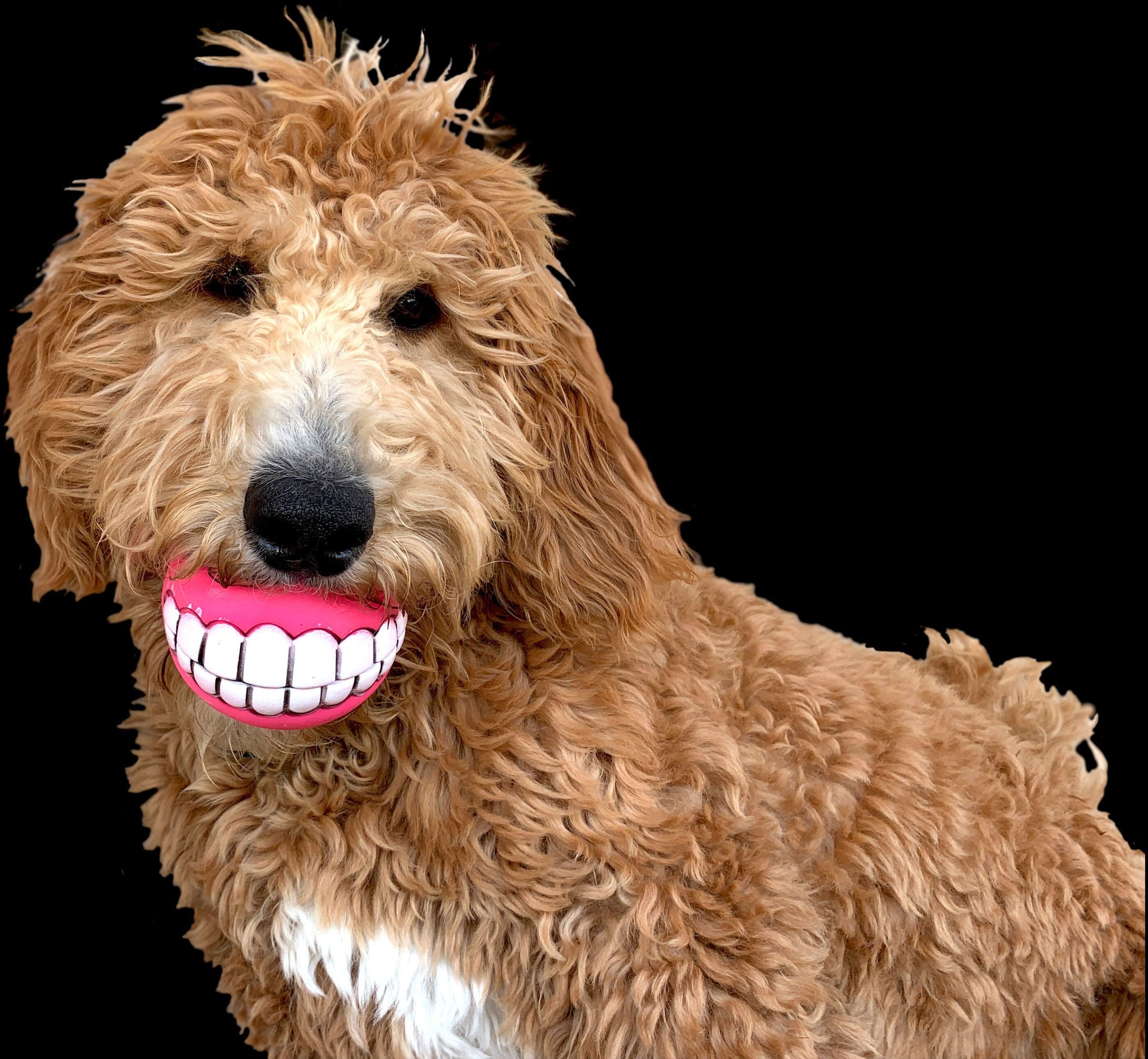 premium bedding, desk, blackout curtains, iron/ironing board