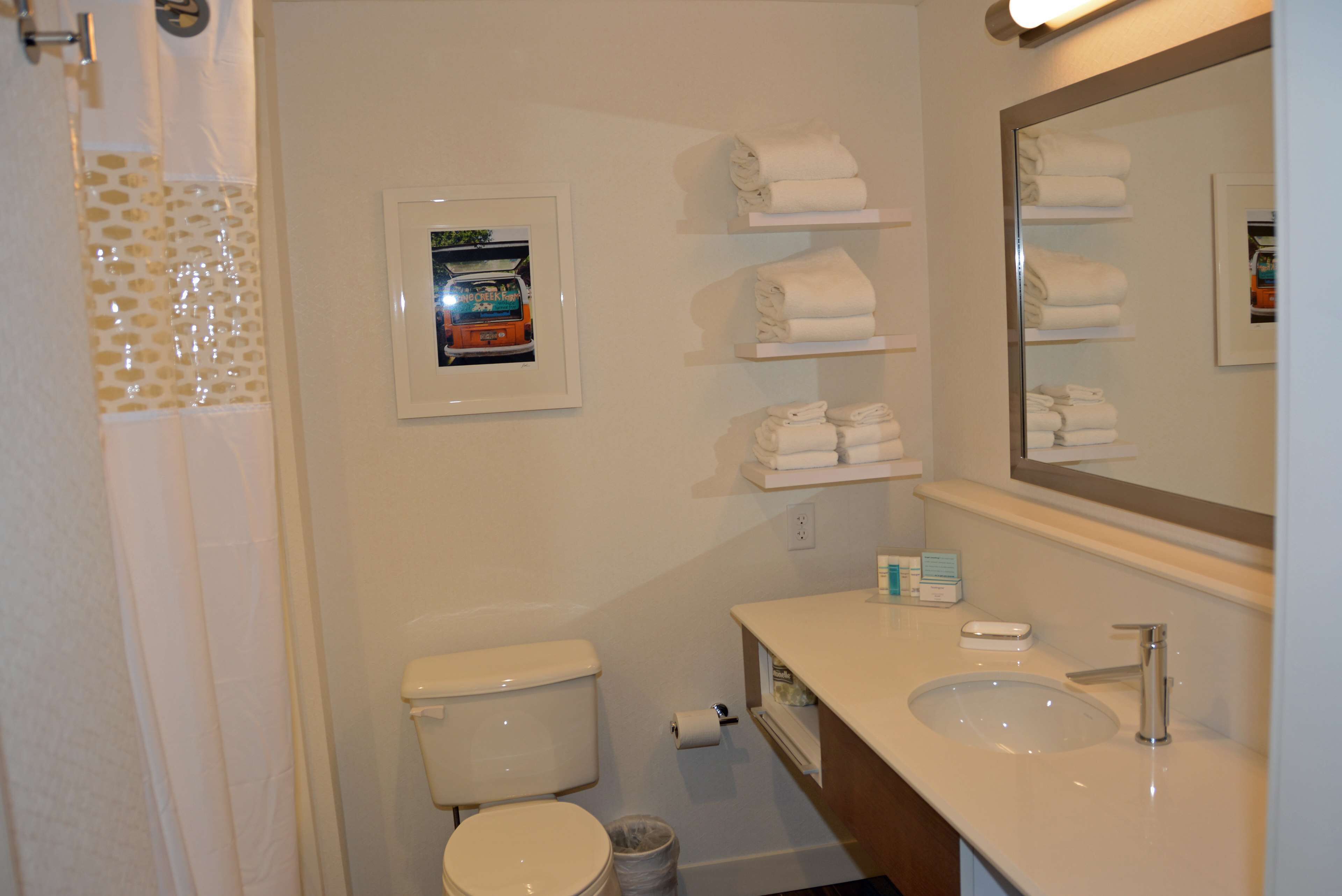 combined shower/bathtub, free toiletries, hair dryer, towels