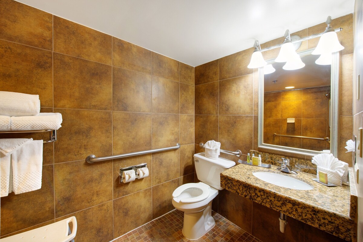 A bathroom with a toilet, sink, and handrail.