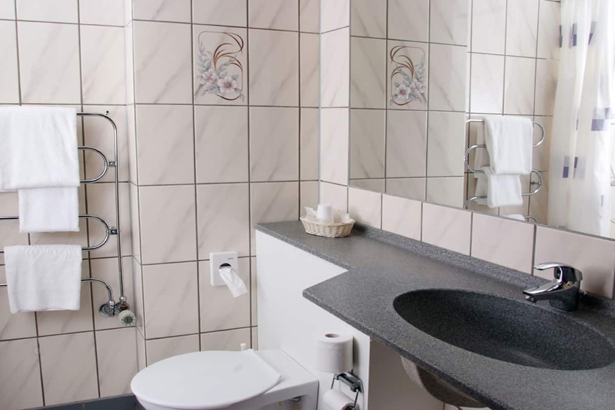 single room | bathroom | shower, free toiletries, hair dryer, towels