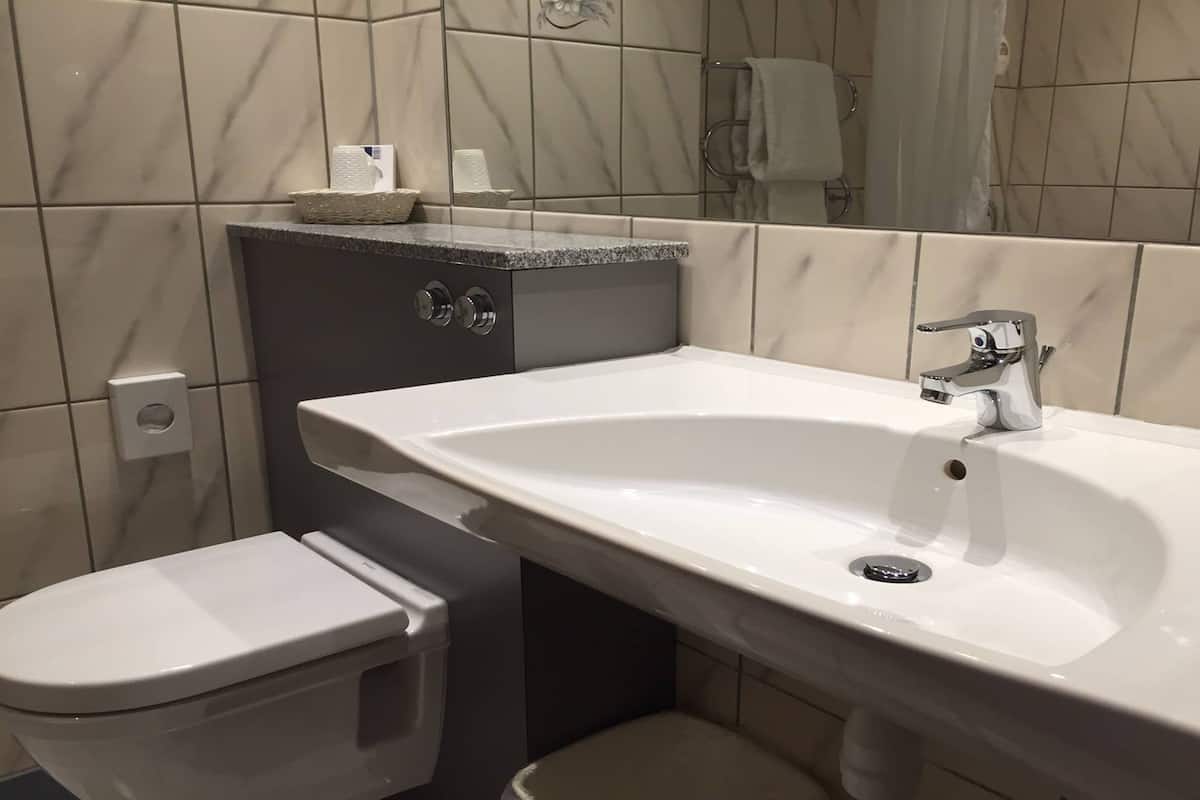 twin room | bathroom | shower, free toiletries, hair dryer, towels