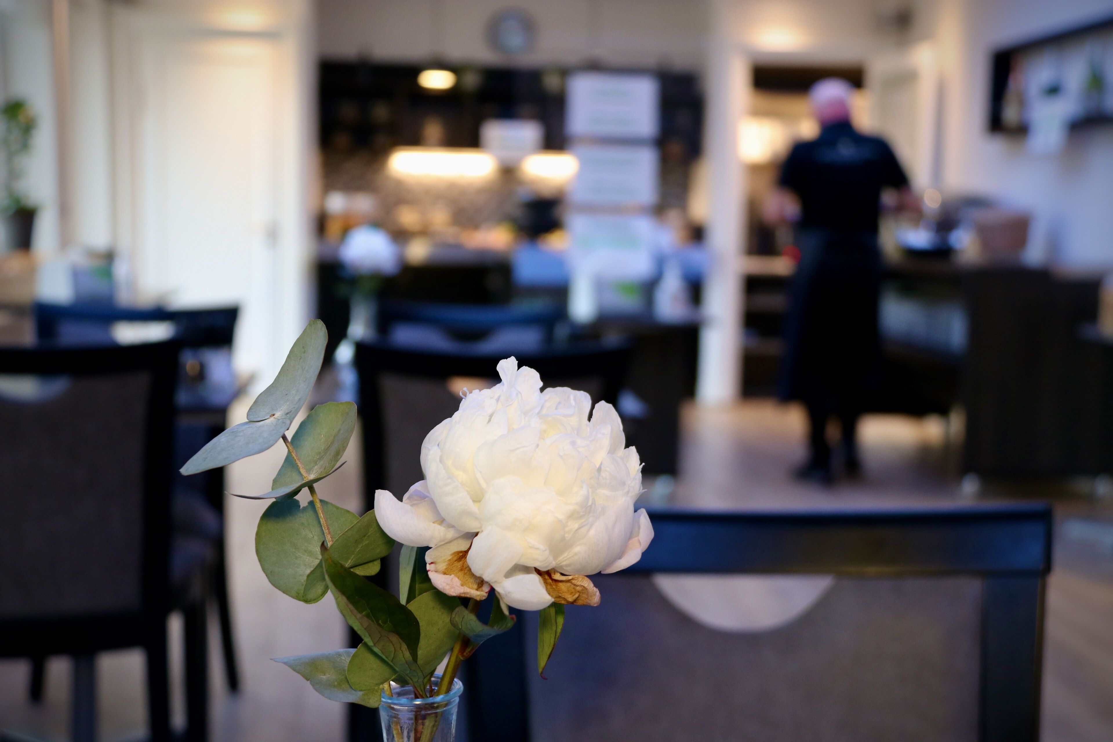 Foto - Taastrup Park Hotel