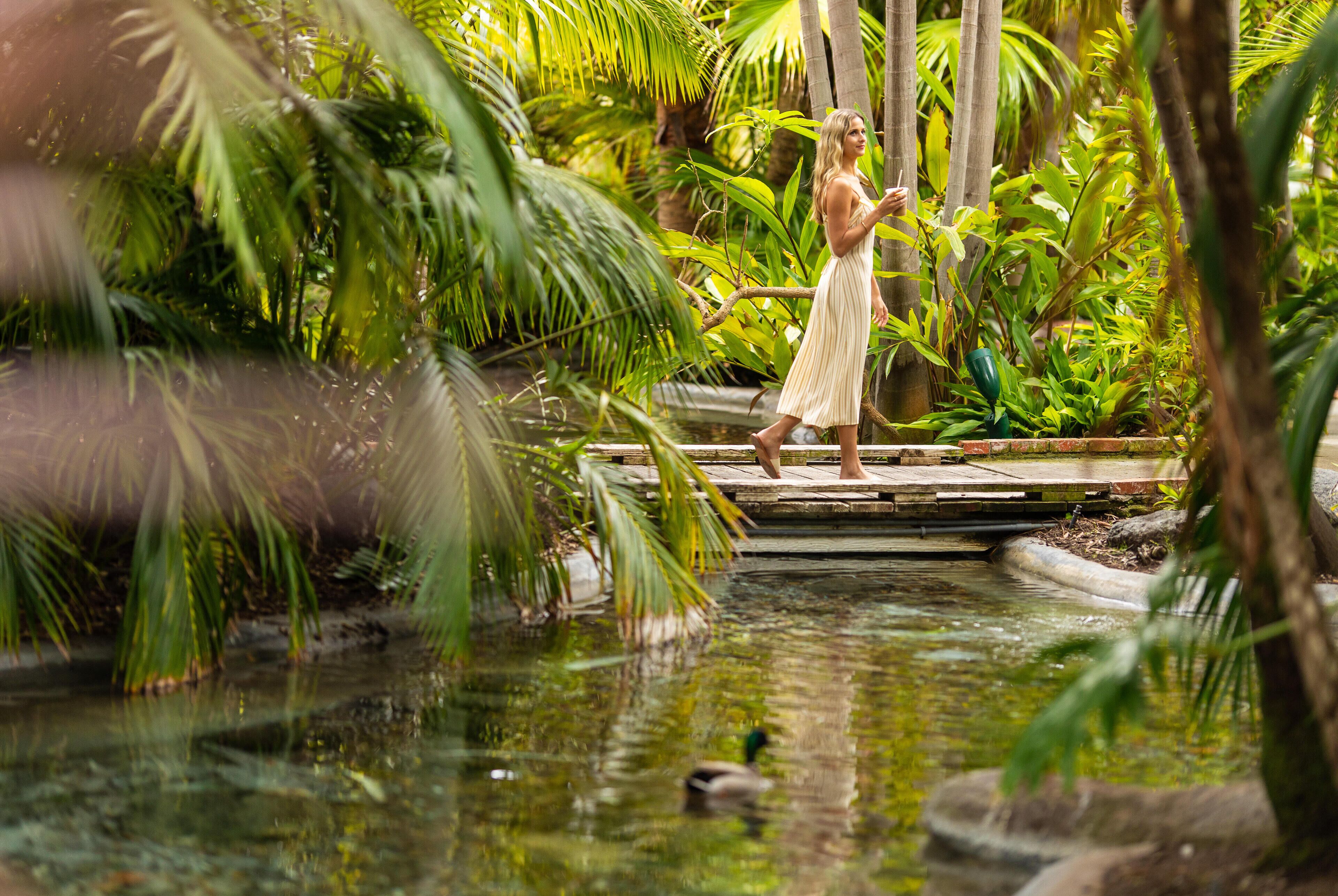 Foto - Bahia Resort Hotel