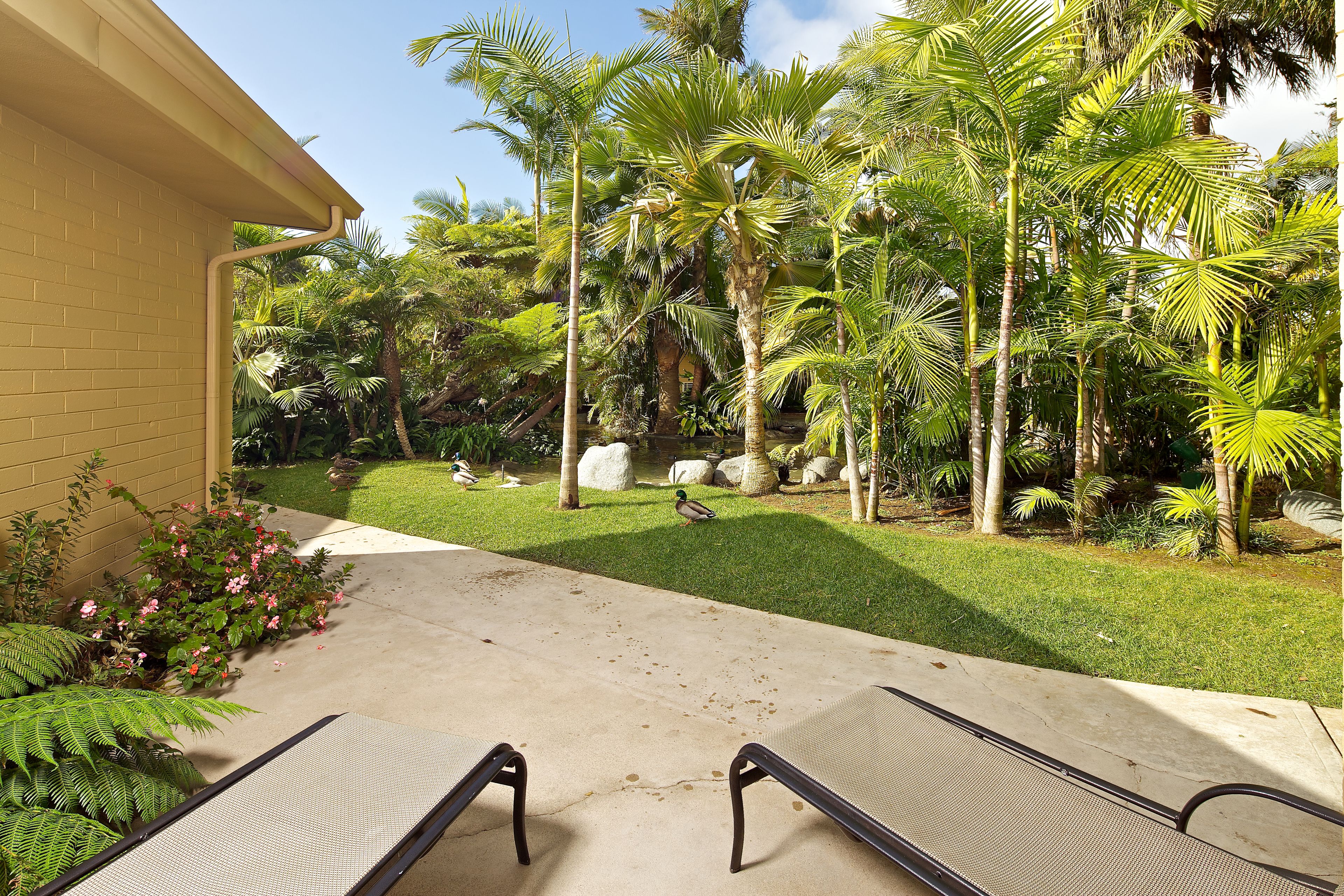 A patio with two lounge chairs, a brick wall, and a garden with palm trees and a duck.