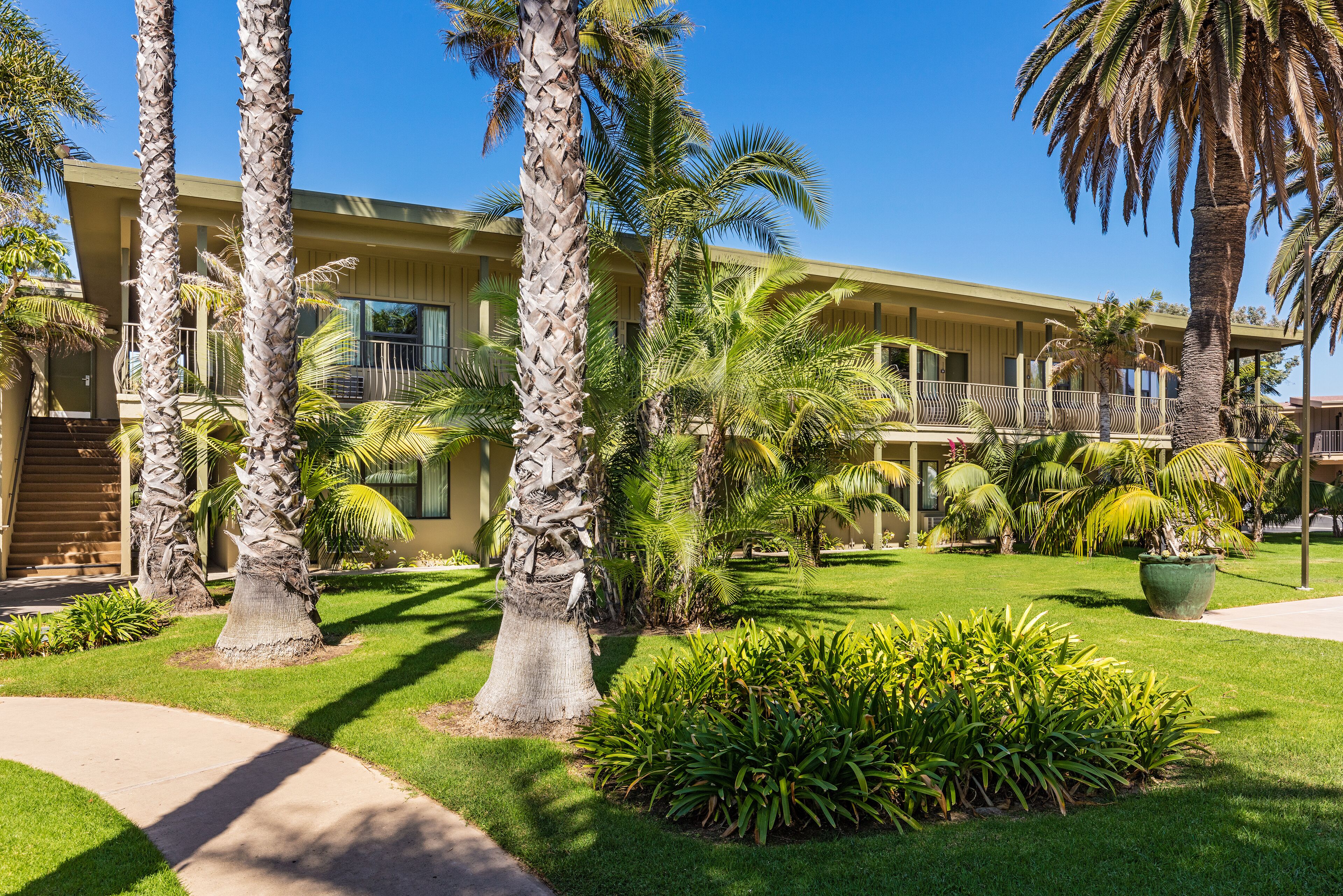 Foto - Bahia Resort Hotel