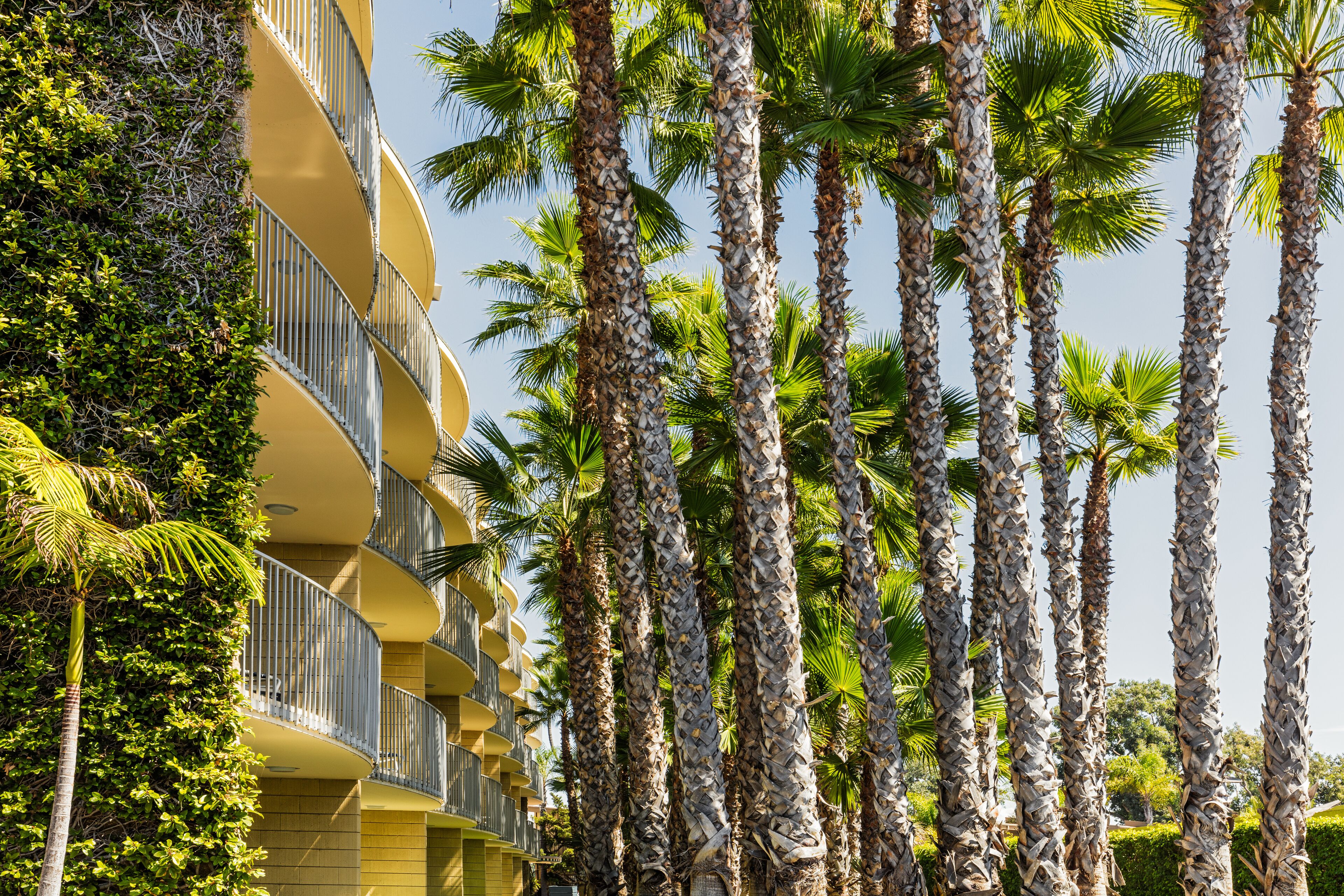 Foto - Bahia Resort Hotel