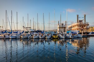 A marina with multiple sailboats docked, a large paddle steamer, and calm water reflecting the boats.