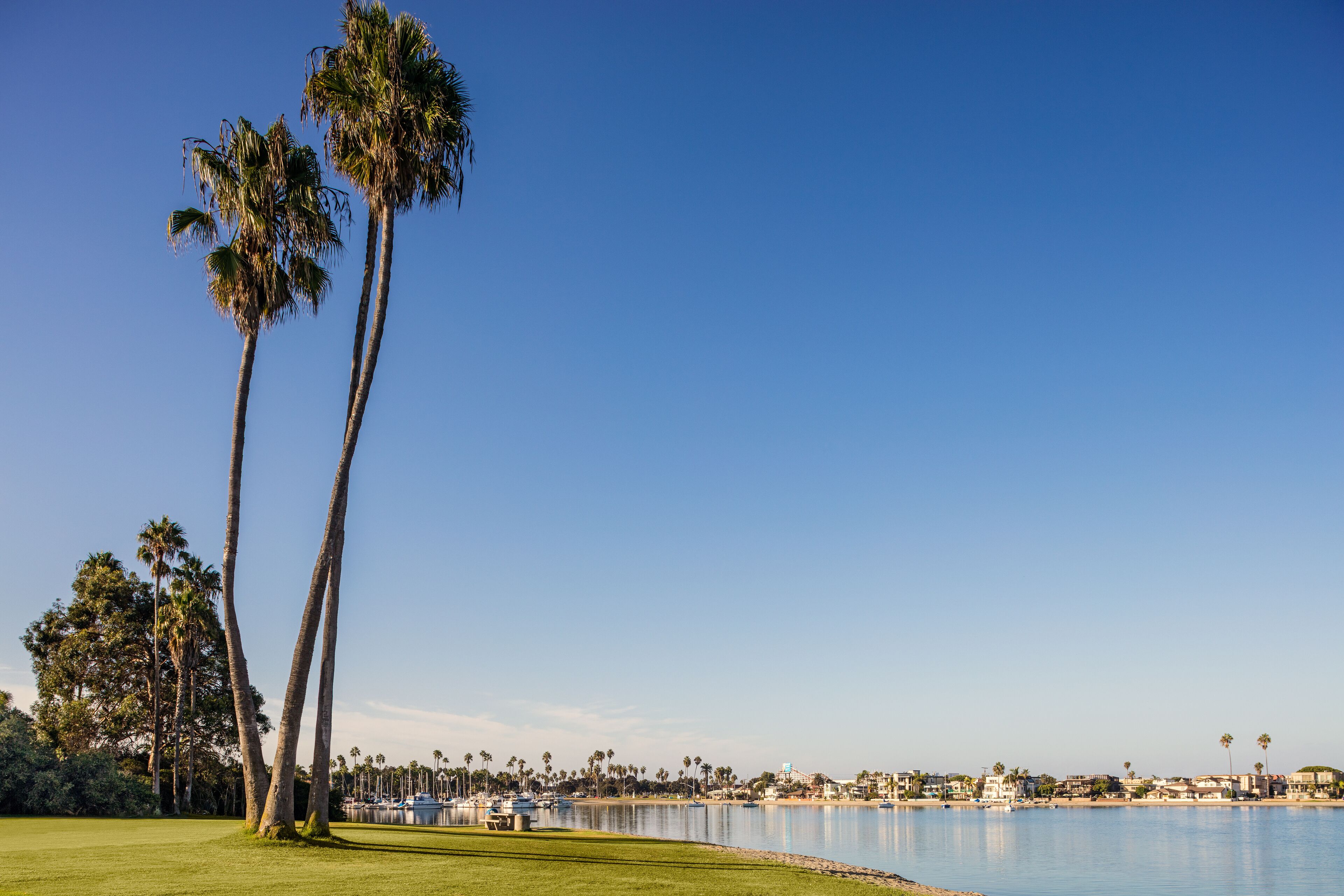 A golf course with a clear view of the water, palm trees, and distant buildings.