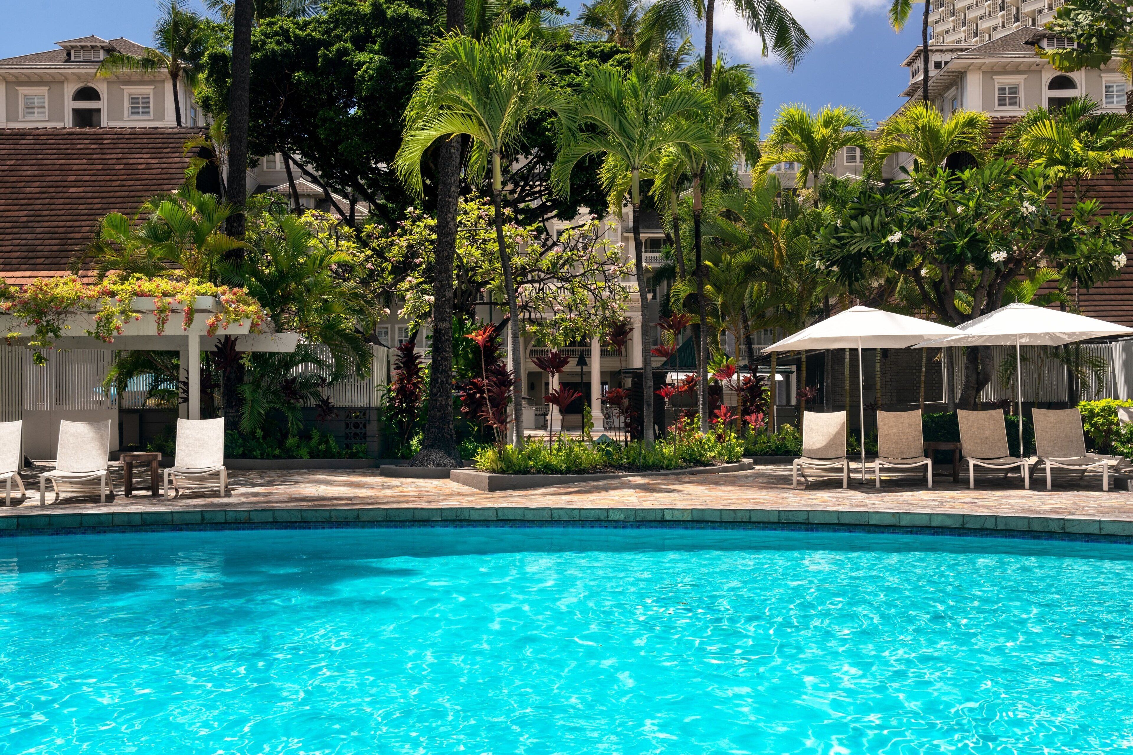 Une piscine entourée d’une végétation luxuriante et de palmiers, avec des chaises longues et des parasols à proximité.