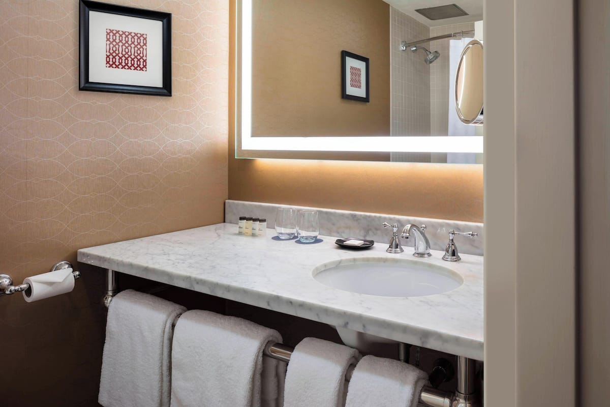 combined shower/bathtub, free toiletries, hair dryer, towels