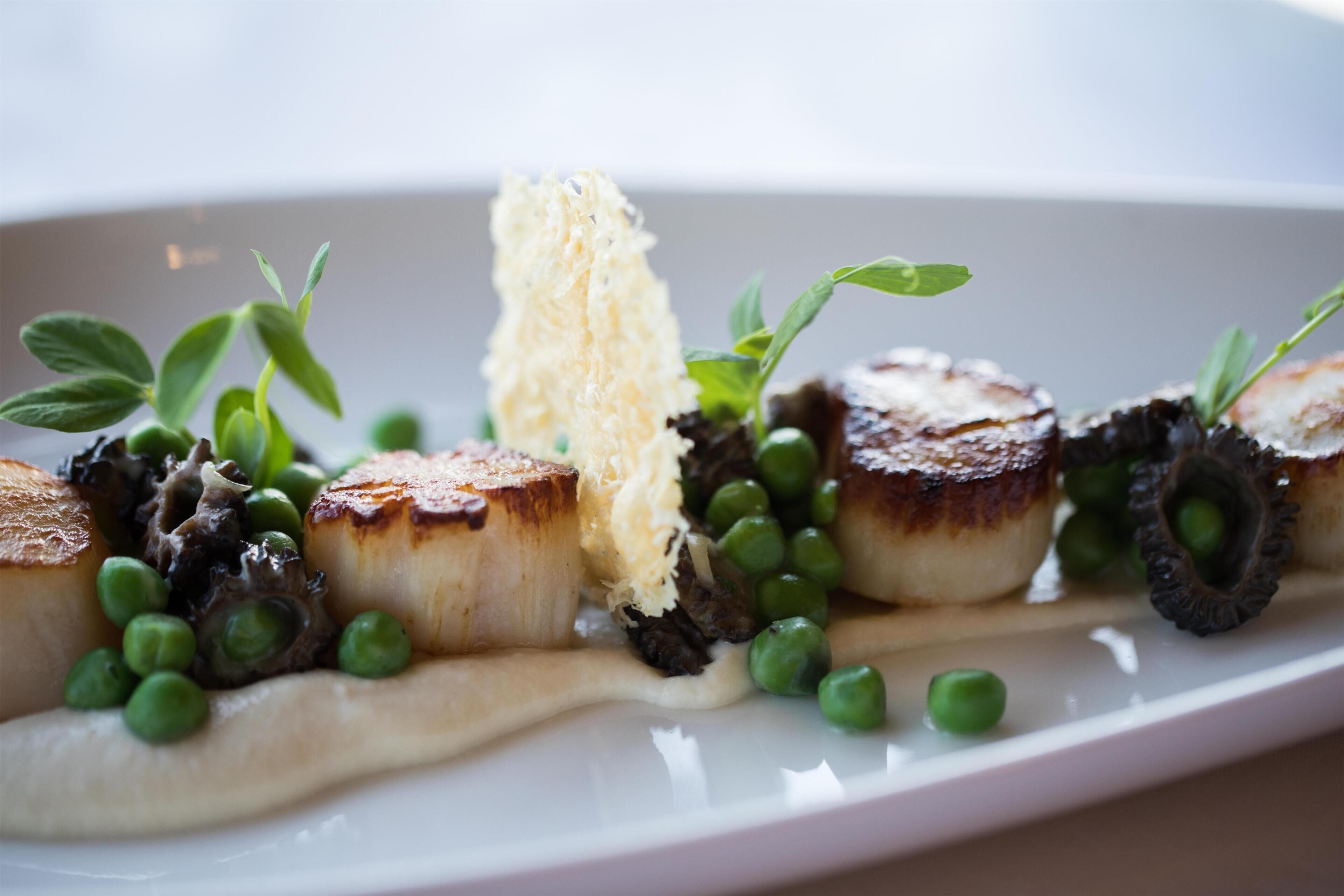 A plated dish with seared scallops, pea puree, and a creamy sauce.