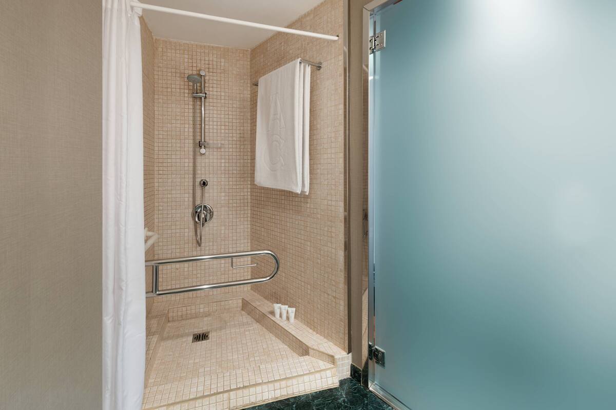 combined shower/bathtub, free toiletries, hair dryer, towels