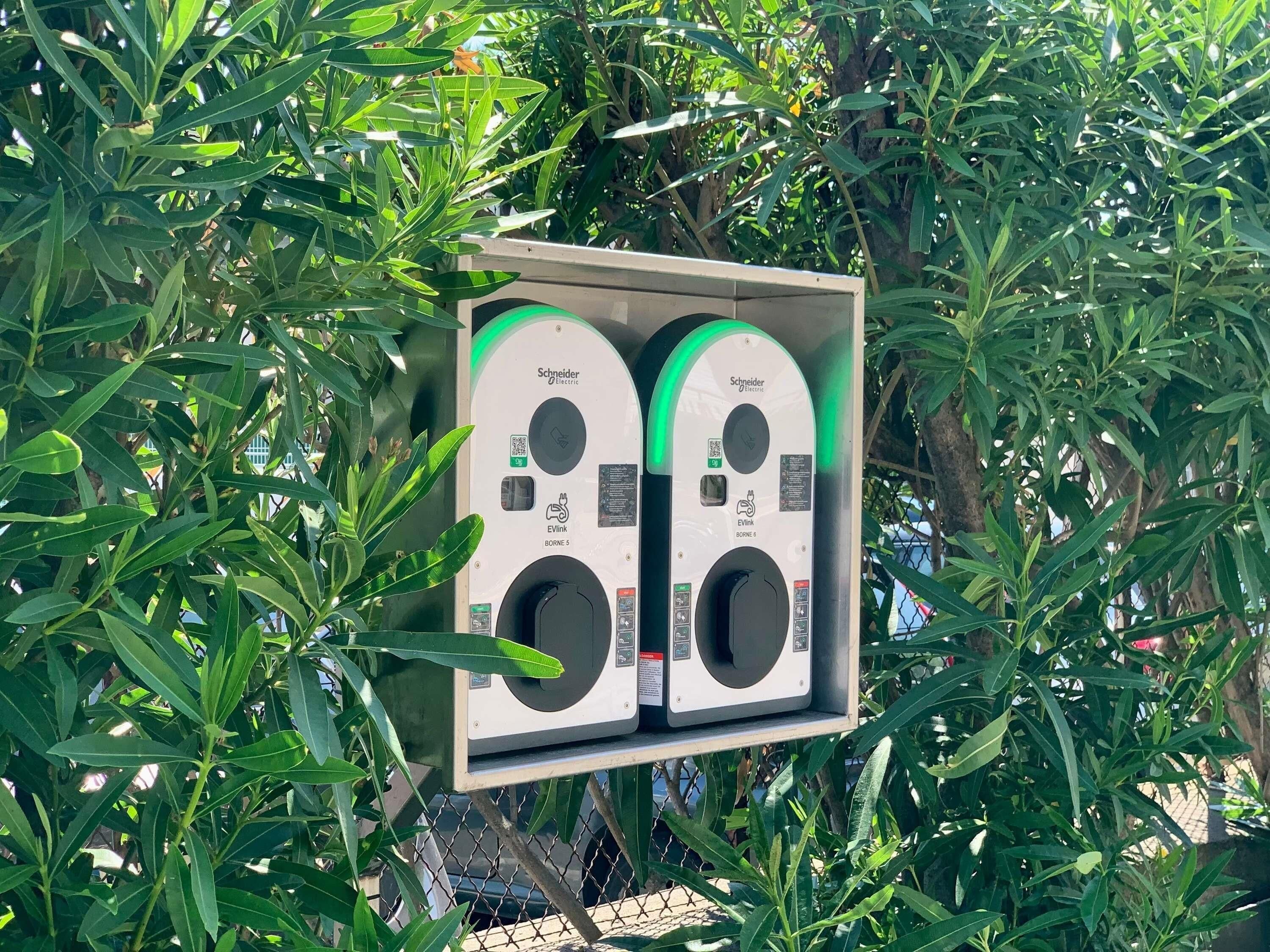Stazione di ricarica per veicoli elettrici, con marchio Schneider Electric, immersa in un verdeggiante ambiente naturale.