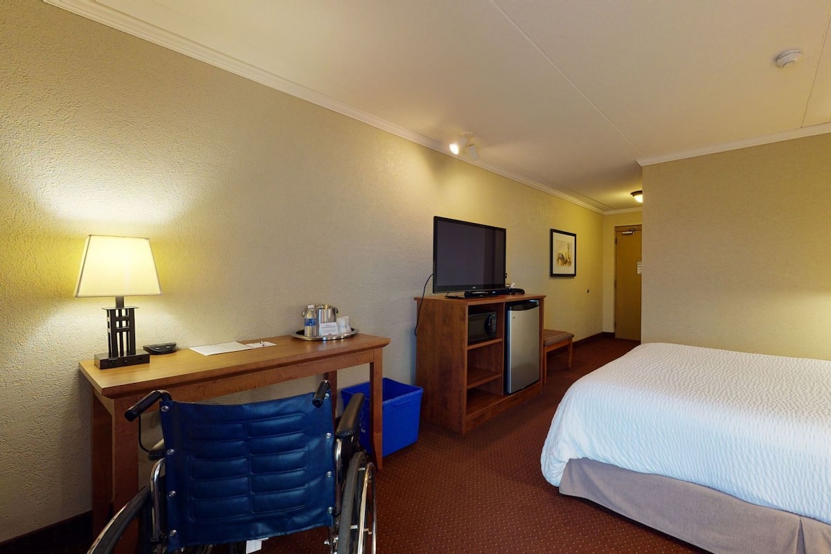 Premium bedding, blackout curtains, iron/ironing board, WiFi