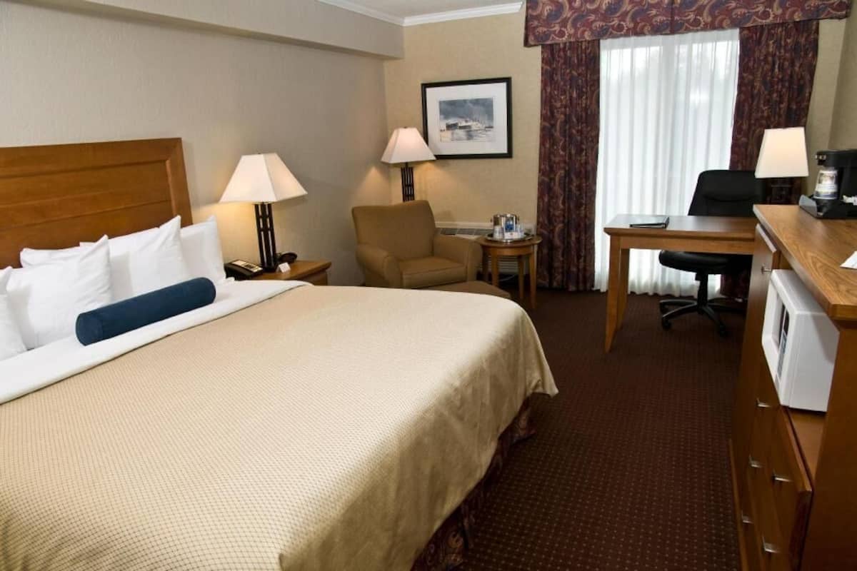 Premium bedding, blackout curtains, iron/ironing board, WiFi