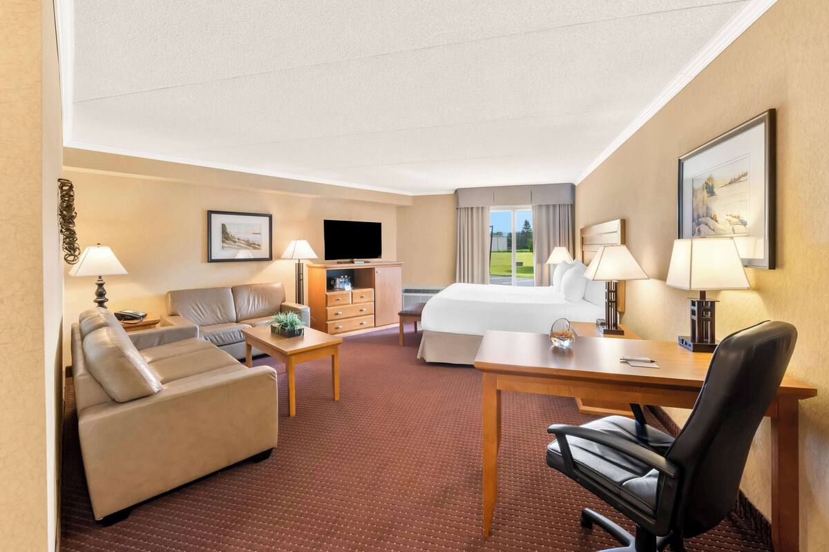 Habitación de hotel con cama, sofá, escritorio, televisor y ventana con vistas a un paisaje verde.
