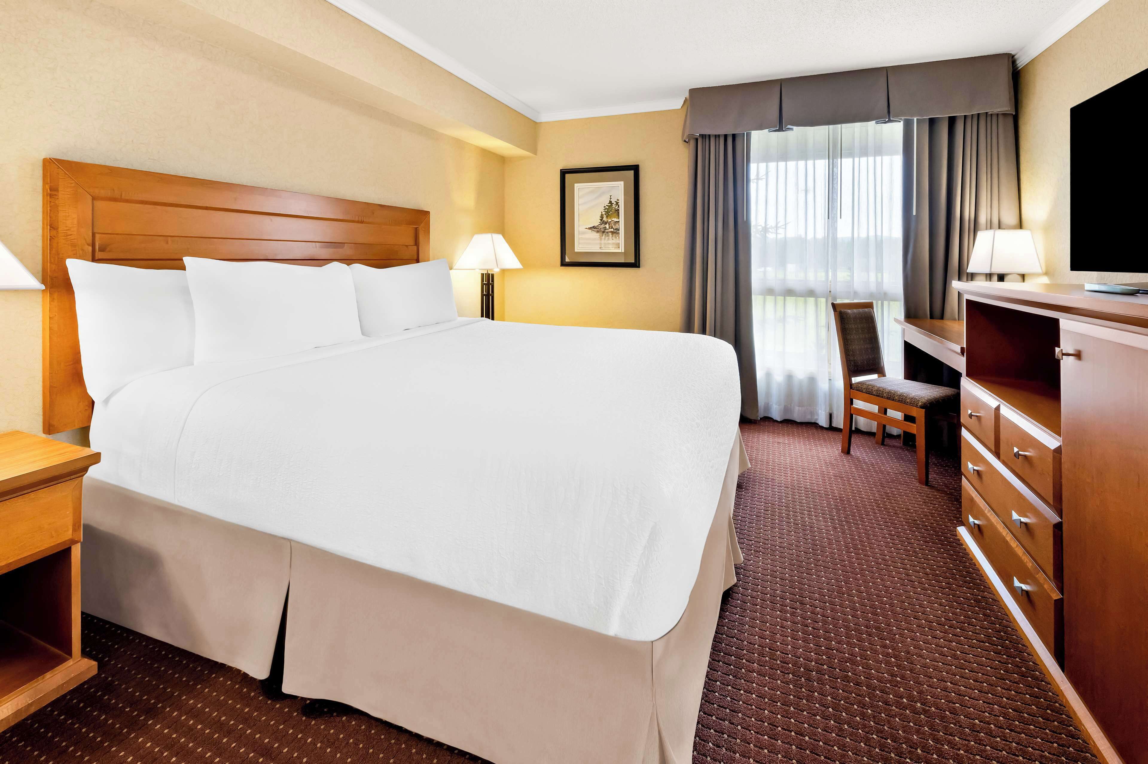 A hotel room with a large bed, a desk, a chair, a TV, and a dresser.