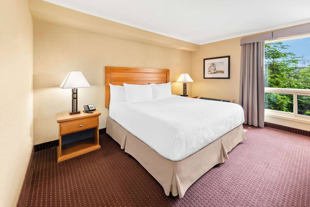 Habitación de hotel con una cama grande, dos mesitas de noche con lámparas, un teléfono, un cuadro en la pared y una ventana con vistas a zonas verdes.