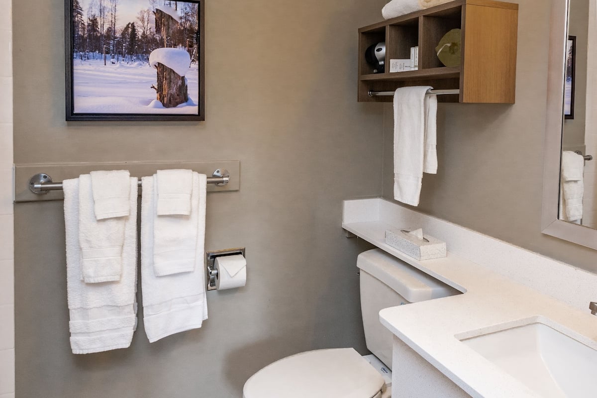 shower, free toiletries, hair dryer, towels