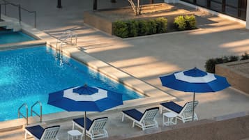 Piscina con sillas de descanso y sombrillas, rodeada de un jardín con arbustos pequeños y un árbol.