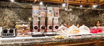 Clarion Inn Garden City