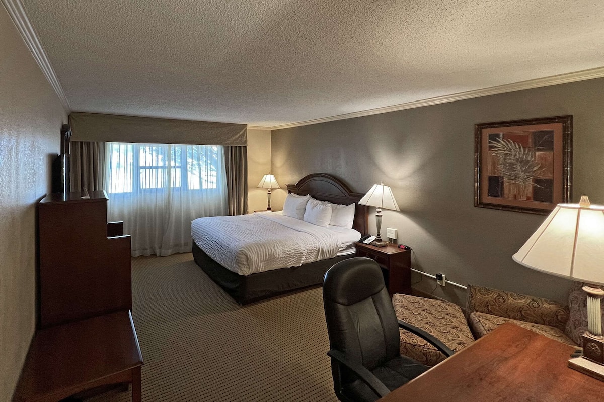 Standard Room, 1 King Bed, Non Smoking, Bathtub | Laptop workspace, iron/ironing board, rollaway beds, free WiFi