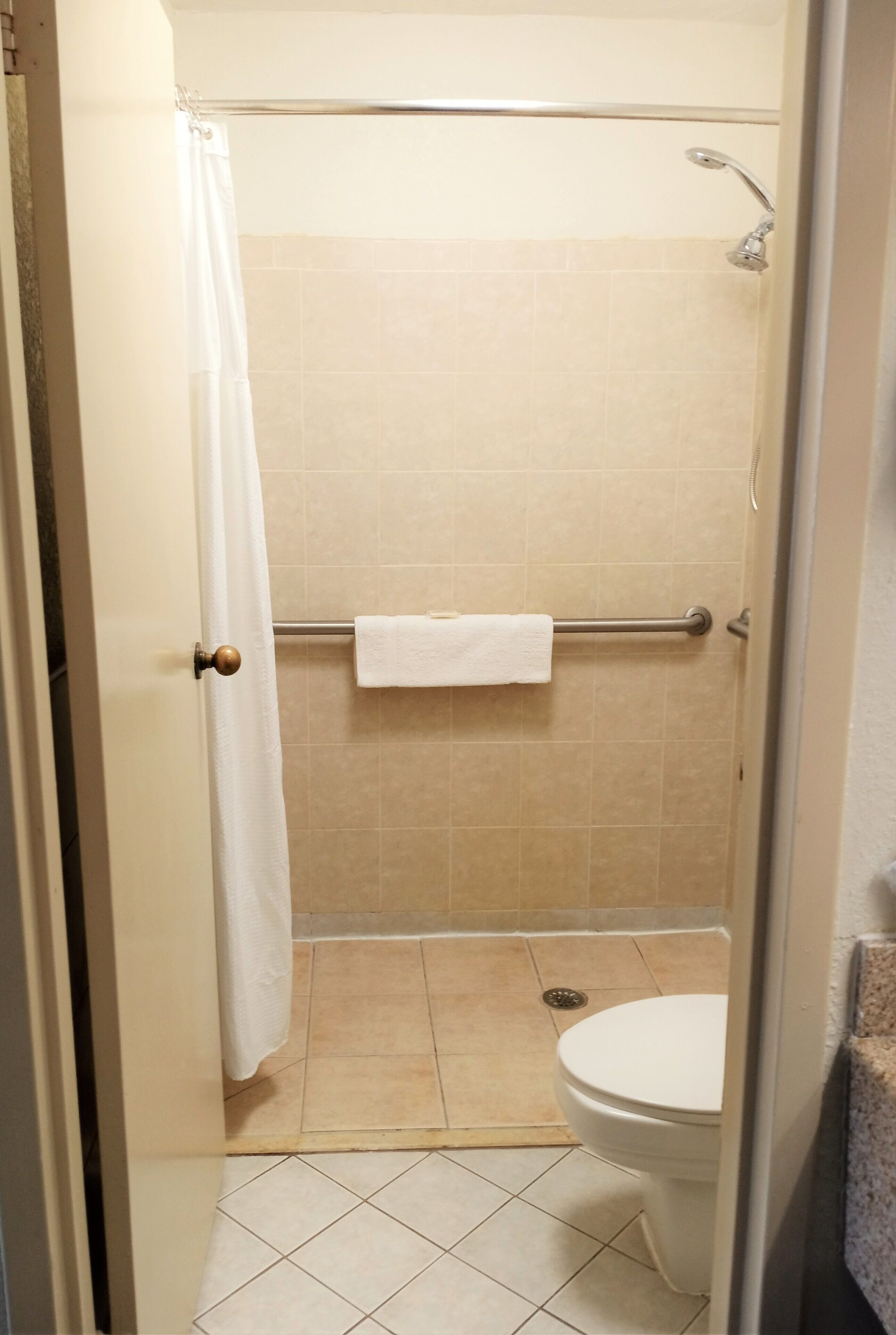 Baño con ducha, inodoro y toallero.