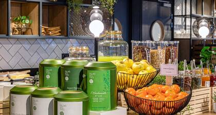 ibis Nancy Centre Gare et Congres