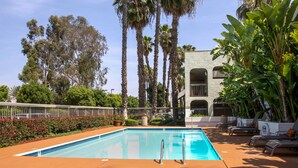 A swimming pool with lounge chairs and palm trees. - Quality Inn Riverside near UCR and Downtown (Riverside)