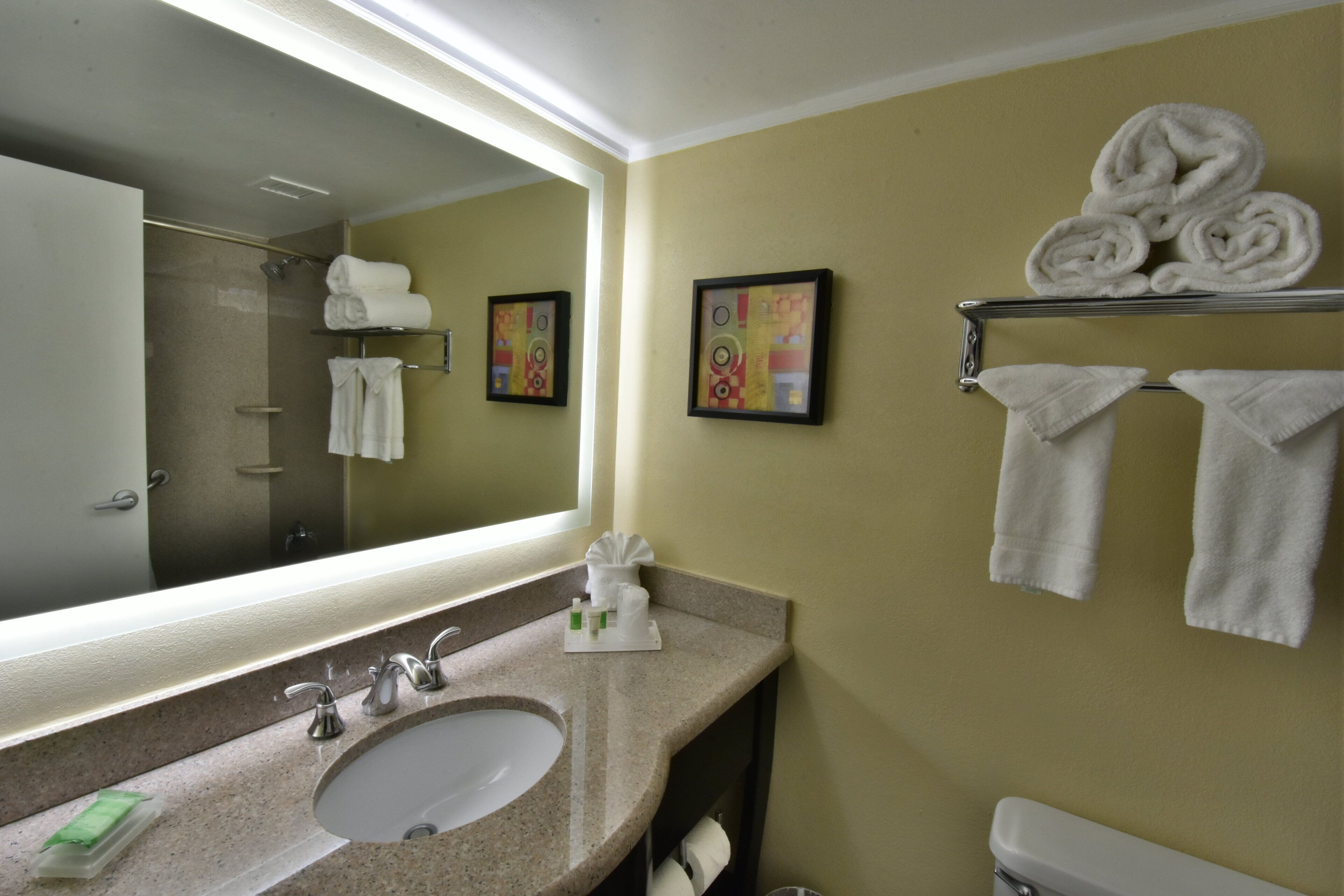 Photo - Holiday Inn Orlando East Ucf Area, An Ihg