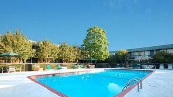 A swimming pool with a red border, surrounded by lounge chairs and umbrellas, with trees and a building in the background.