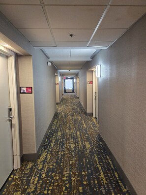 Un pasillo de hotel con pisos alfombrados, puertas a ambos lados y un letrero que indica la habitación número 224.