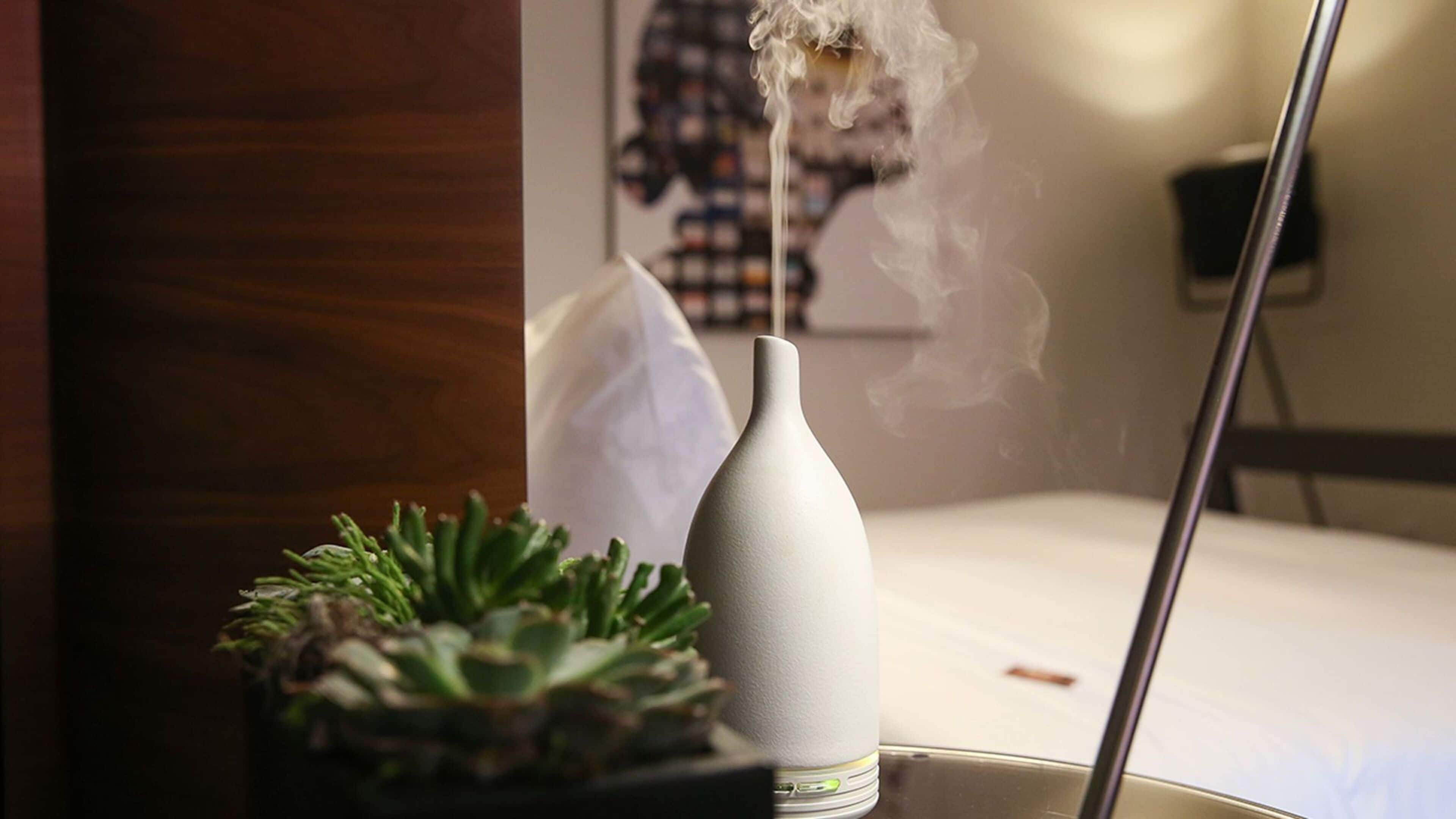 room, 1 king bed (well and away) | premium bedding, down duvets, pillow-top beds, minibar