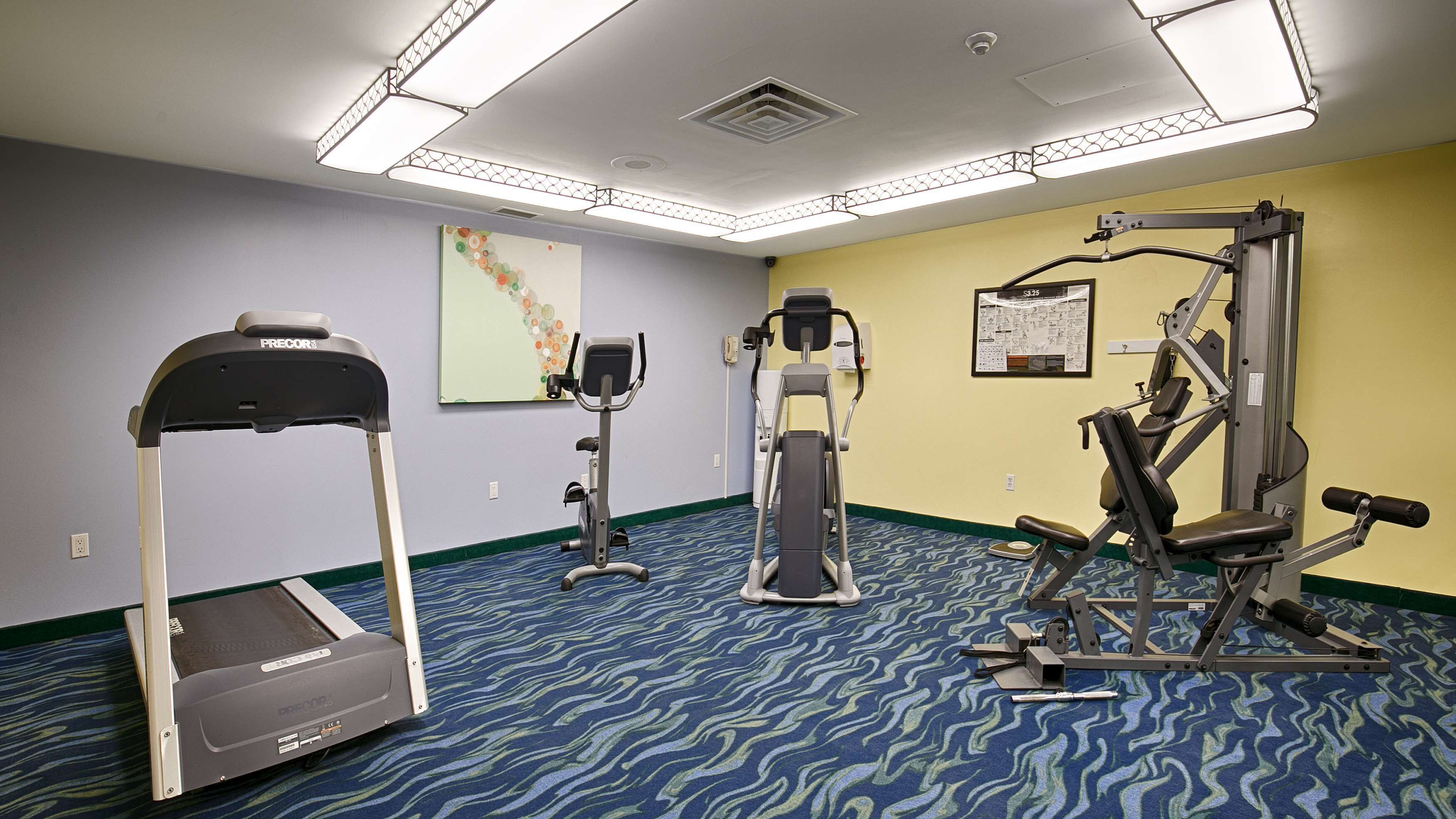 Un gimnasio con cintas de correr, elípticas y máquinas de pesas.