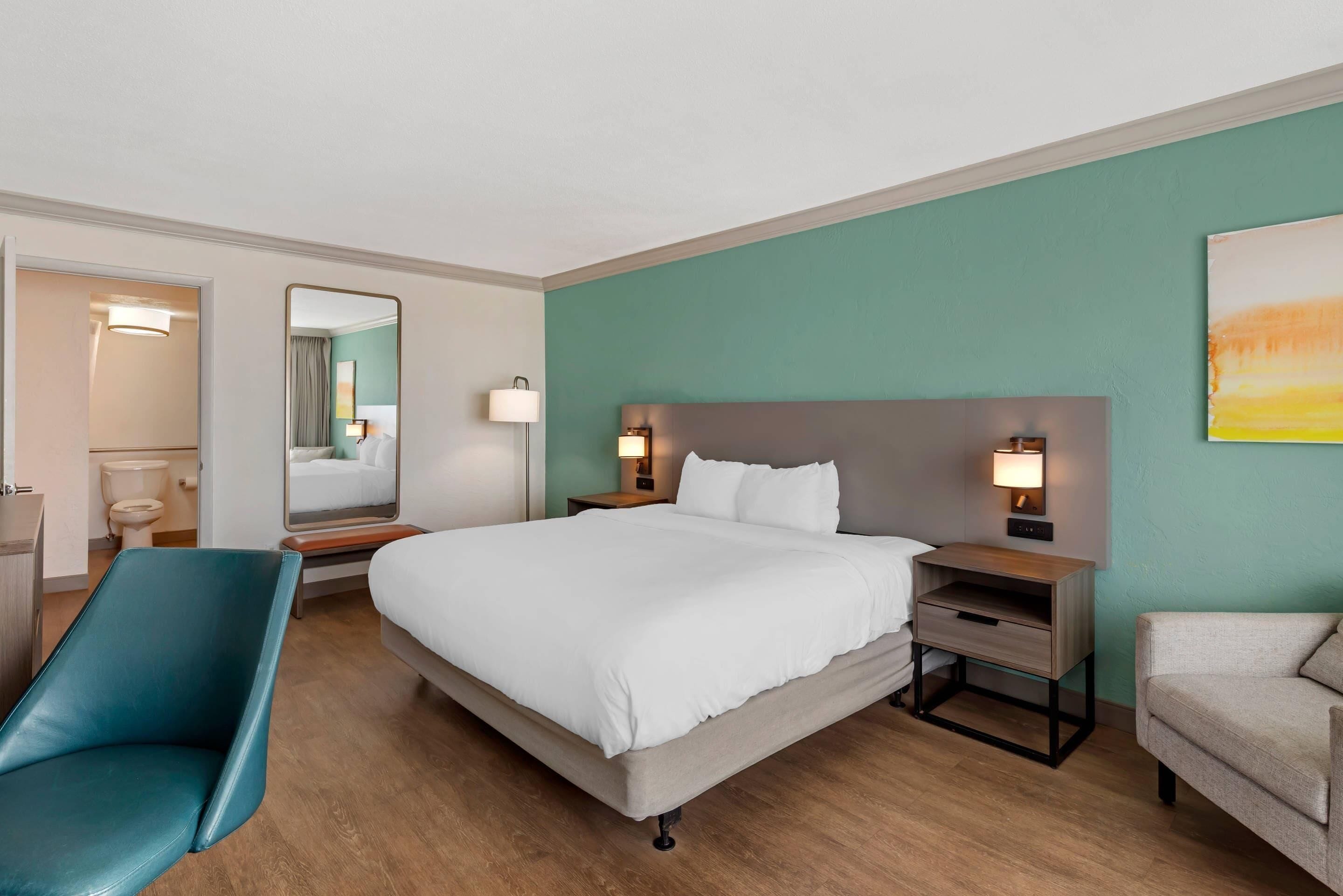 Room, 1 King Bed, Non Smoking | Desk, laptop workspace, blackout drapes, iron/ironing board