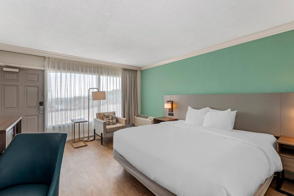 Room, 1 King Bed, Non Smoking | Desk, laptop workspace, blackout drapes, iron/ironing board