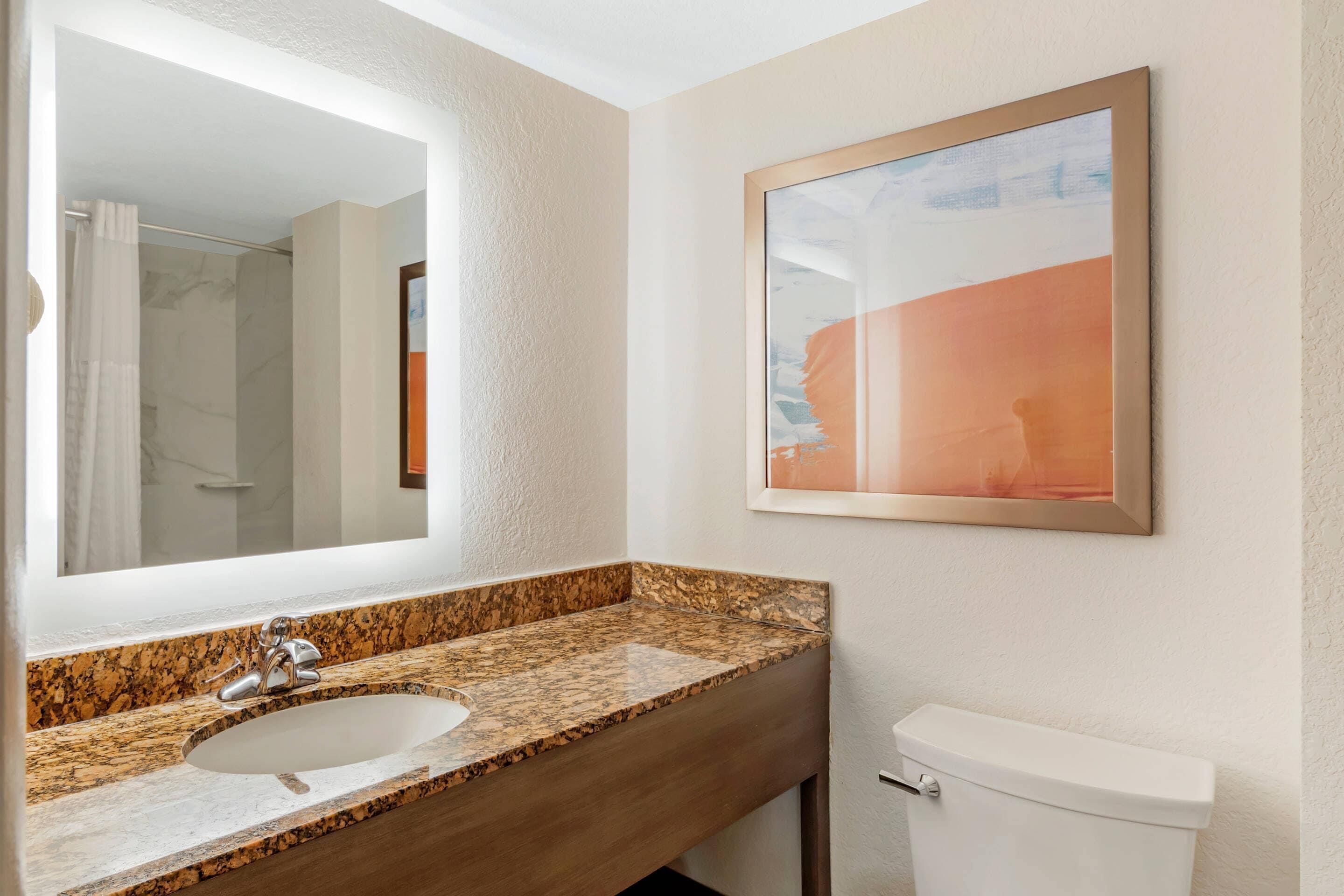 Un baño con lavamanos de encimera de granito, un espejo grande y una obra de arte enmarcada en la pared.