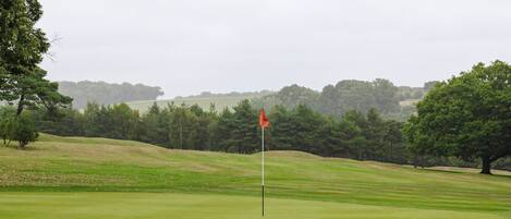 A golf course with a flagstick in the foreground, surrounded by well-maintained grass and trees.